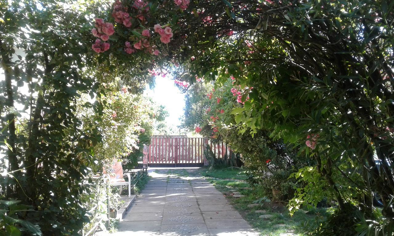 Puerta Del Sol Molina B&B Dış mekan fotoğraf